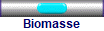 Biomasse
