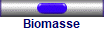 Biomasse